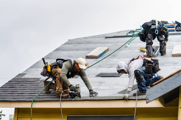 Professional Roof Repair technician working in Mc Clelland, IA